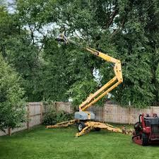 Best Lawn Watering Services  in Brunswick, GA