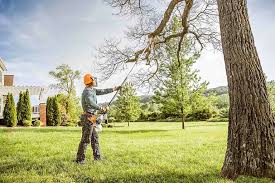 Best Lawn Grading and Leveling  in Brunswick, GA